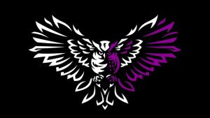 Nocetem Esports announces closure