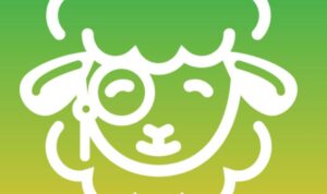 Sheep Esports launches in Brazil